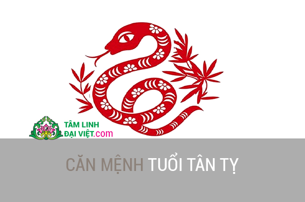 Cung mệnh TUỔI TÂN TỴ 1941  Tâm Linh Đại Việt